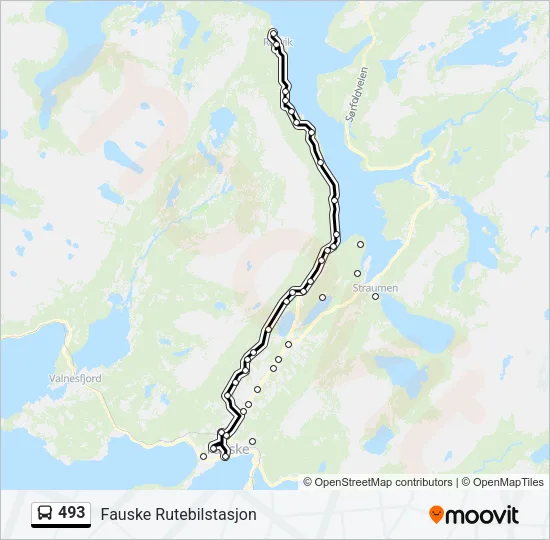 493 Bus Line Map