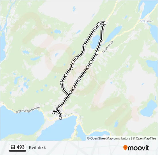 493 Bus Line Map