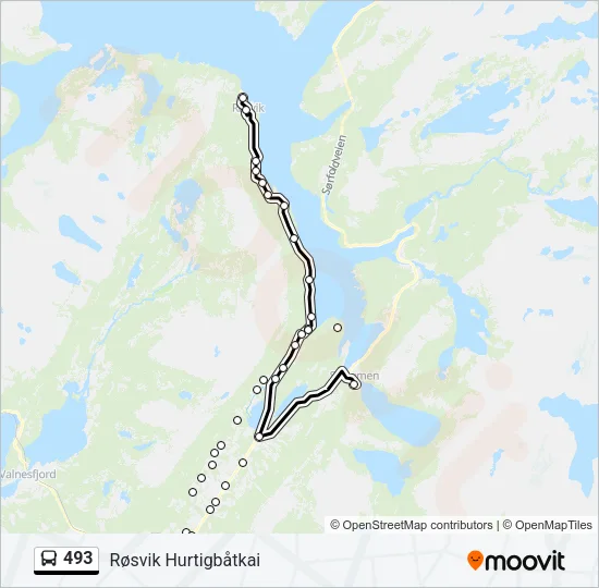 493 Bus Line Map