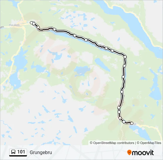 101 buss Linjekart