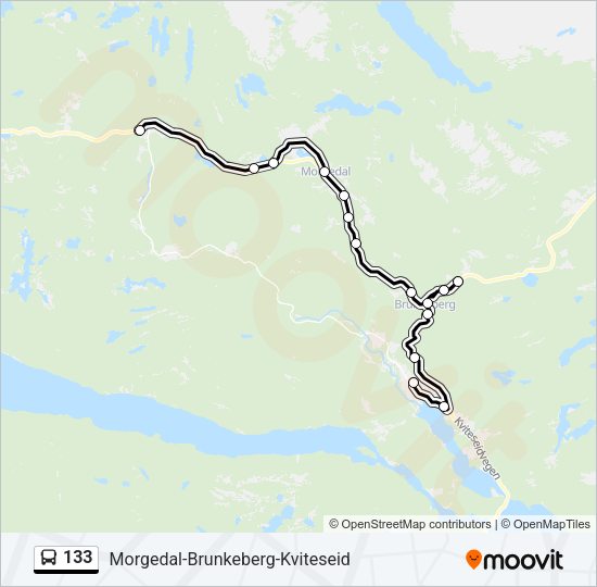 133 Bus Line Map
