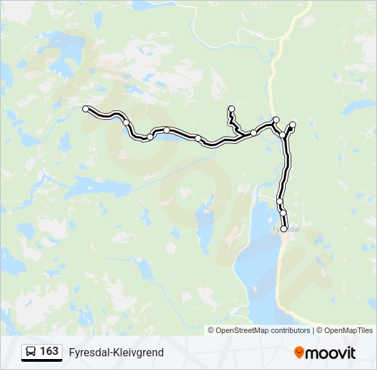 163 Bus Line Map