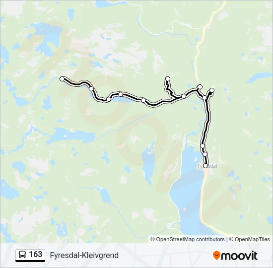 163 Bus Line Map