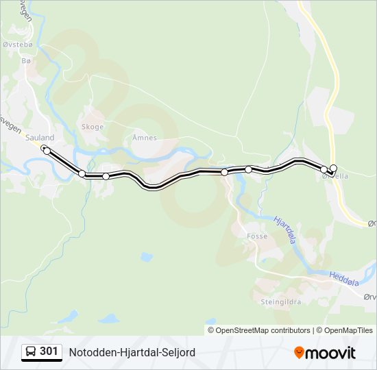 301 Bus Line Map