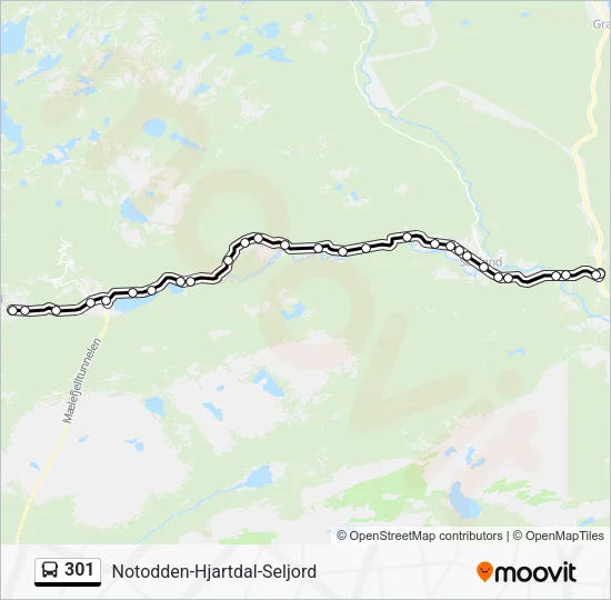 301 Bus Line Map