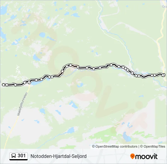 301 Bus Line Map