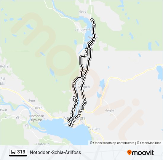 313 Bus Line Map