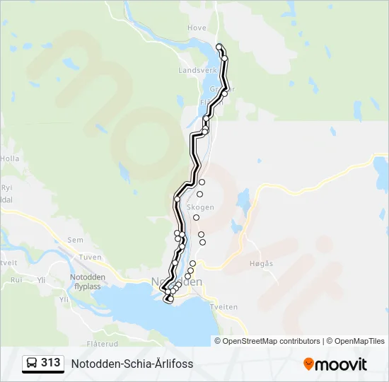 313 Bus Line Map