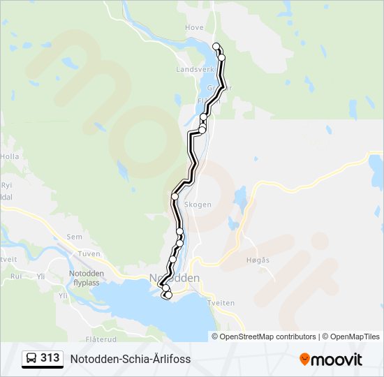 313 bus Line Map