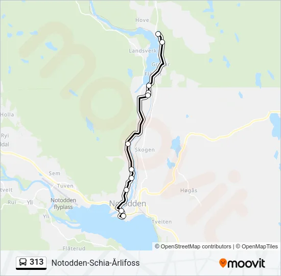 313 Bus Line Map