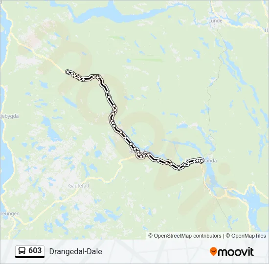 603 Bus Line Map