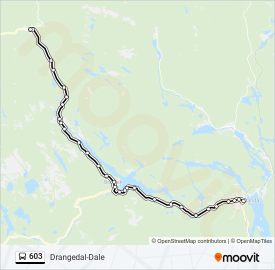 603 bus Line Map