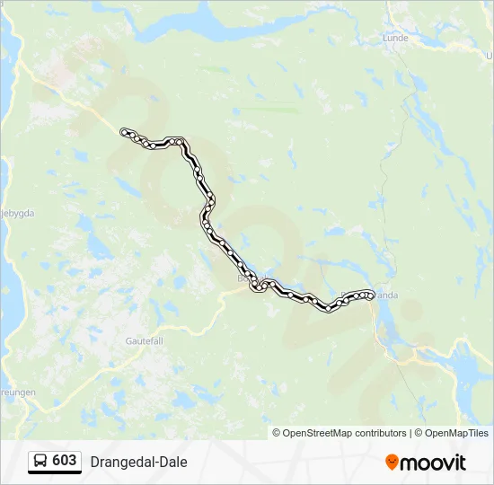 603 Bus Line Map
