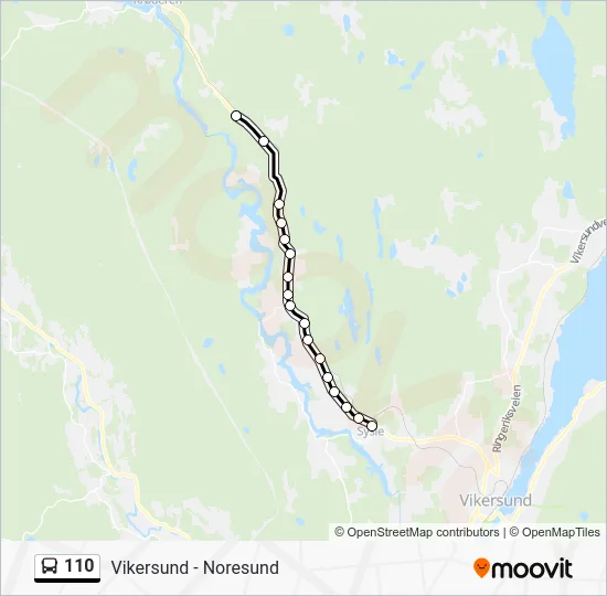 110 Route: Schedules, Stops & Maps - Kløftefoss (Updated)