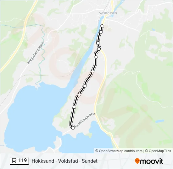 119 Bus Line Map