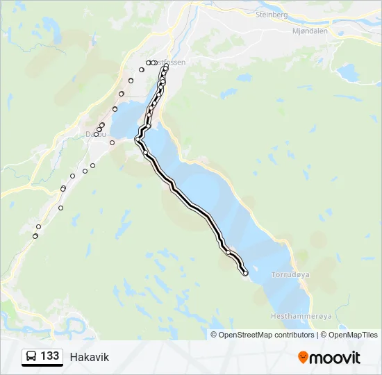 133 Bus Line Map