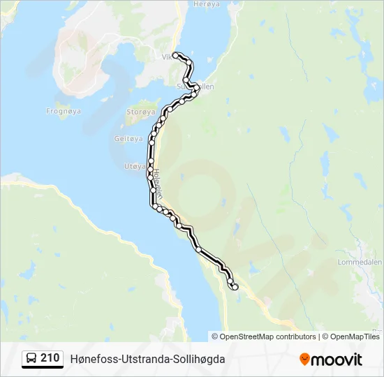 Bus Ruta 210 210 Route: Schedules, Stops & Maps - Vik (Updated)