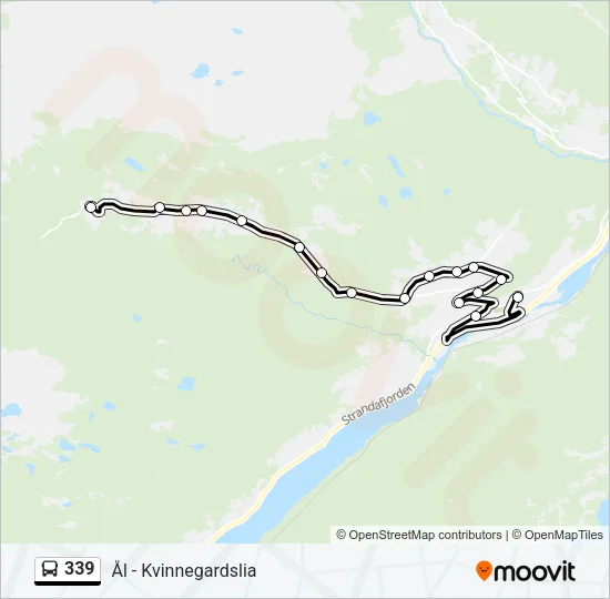 339 Bus Line Map