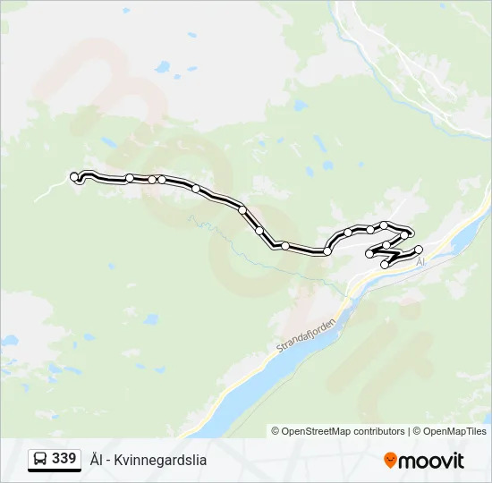 339 Bus Line Map
