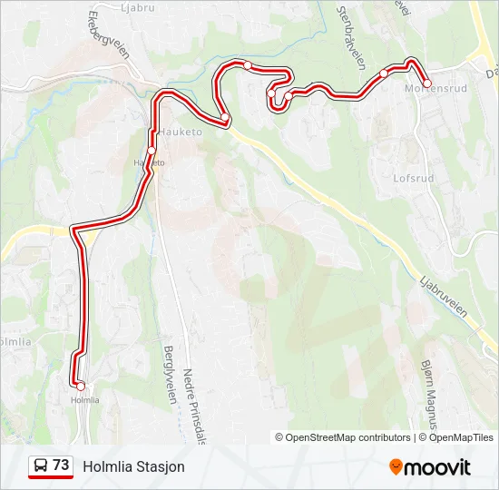 73 Bus Line Map