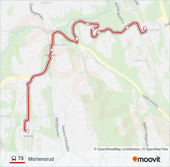 73 Bus Line Map