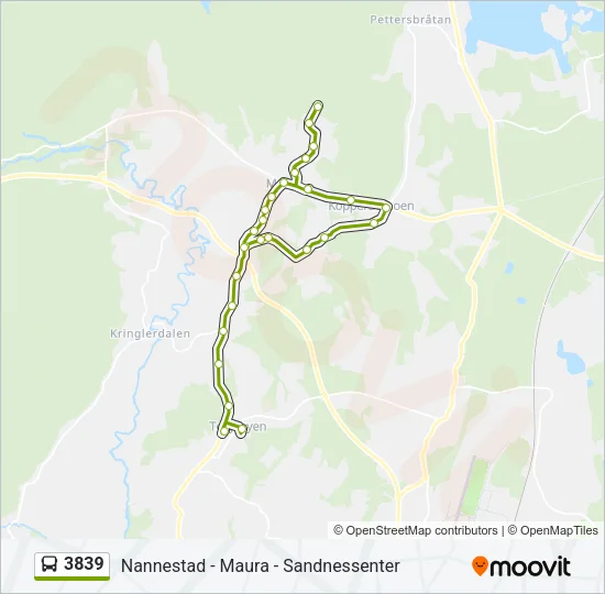 3839 Bus Line Map