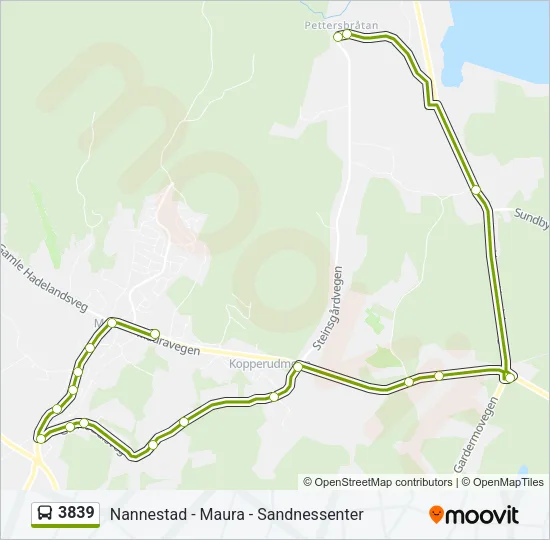 3839 Bus Line Map