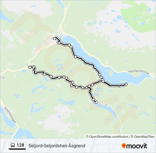 128 Bus Line Map