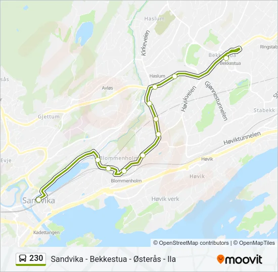 230 Bus Line Map