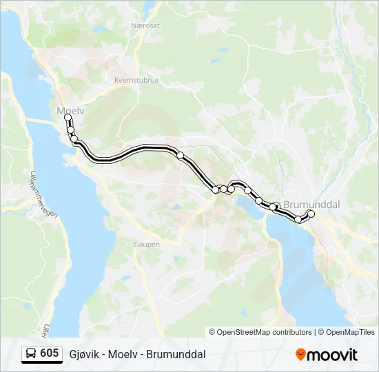 605 Bus Line Map
