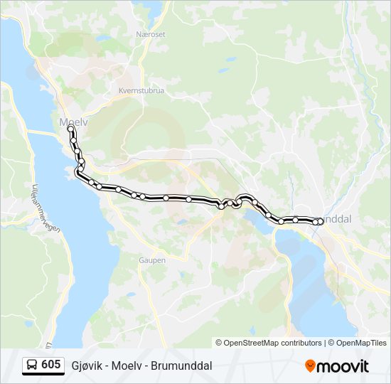 605 Bus Line Map