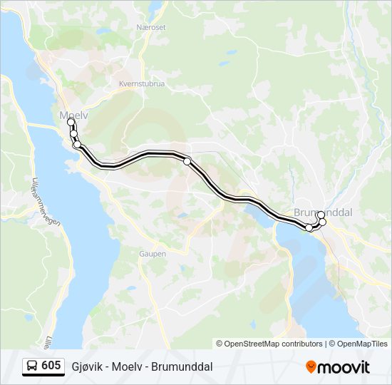 605 Bus Line Map