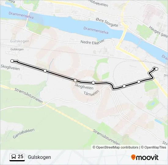 25 Bus Line Map