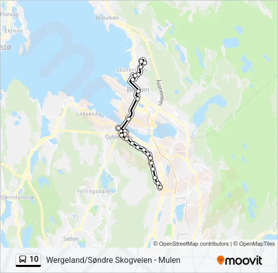 10 buss Linjekart