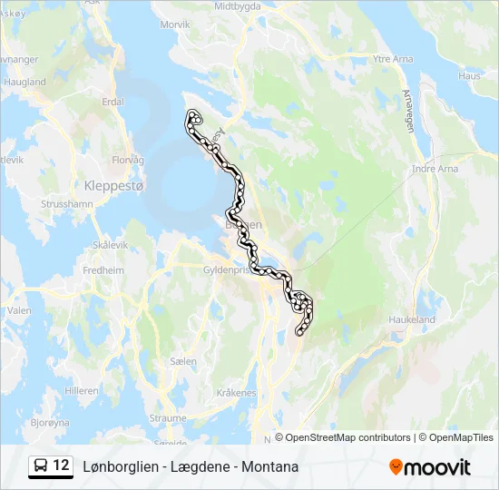 12 buss Linjekart