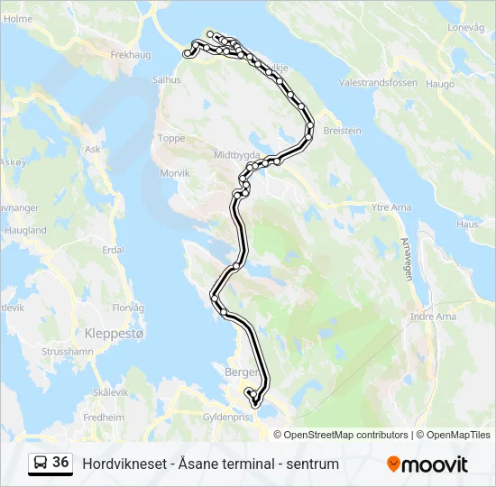 36 buss Linjekart