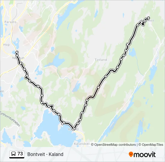 73 Bus Line Map