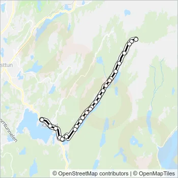74 Bus Line Map