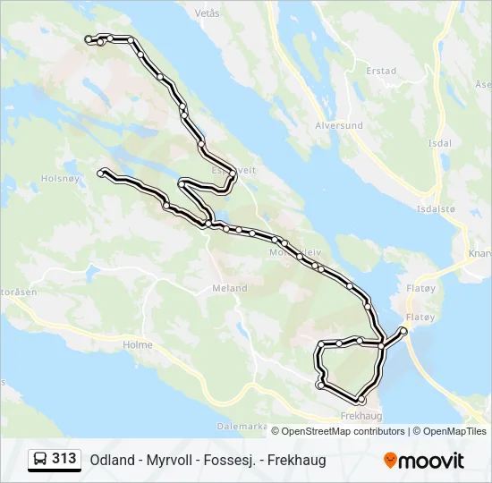 313 Bus Line Map
