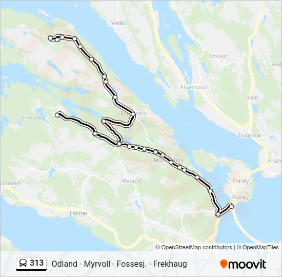 313 Bus Line Map
