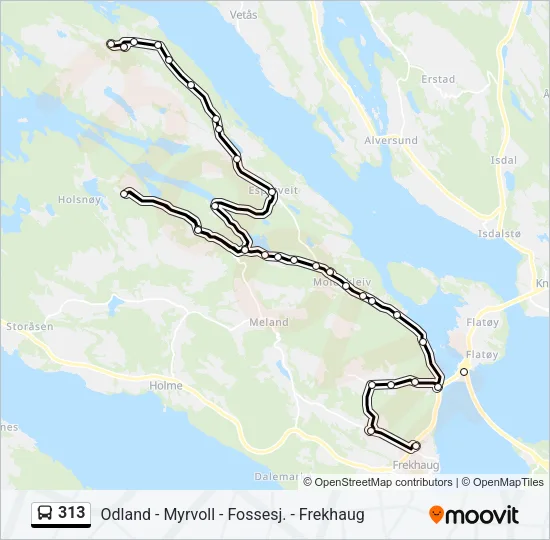 313 Bus Line Map