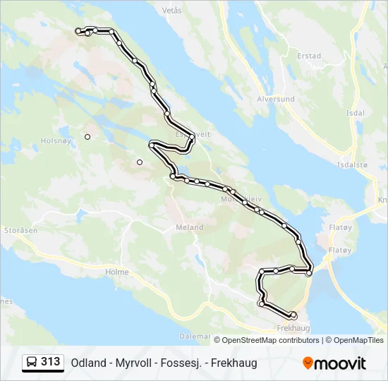 313 Bus Line Map