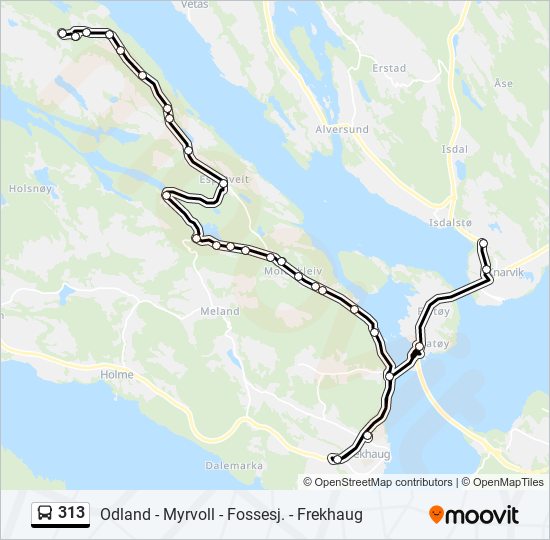 313 bus Line Map