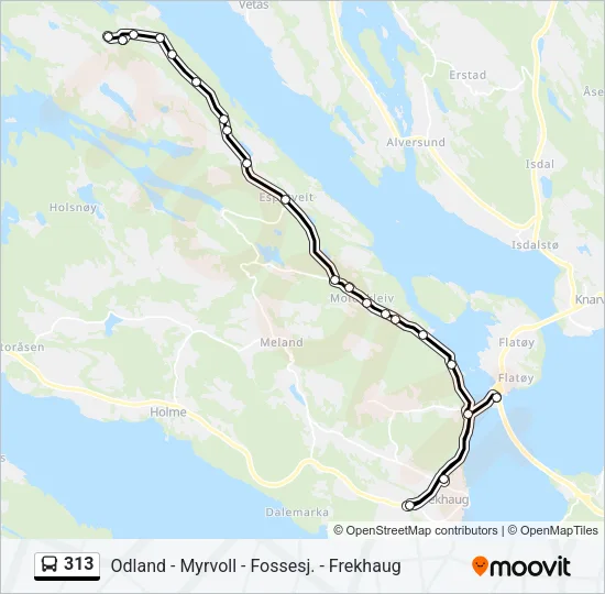 313 Bus Line Map