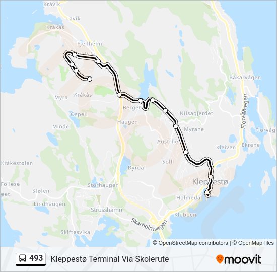 493 Bus Line Map