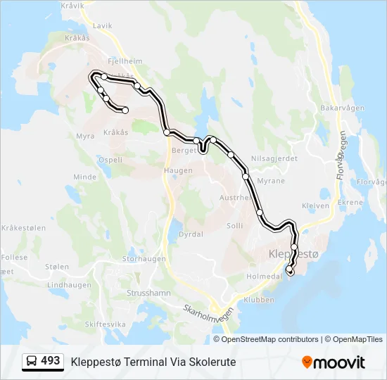 493 Bus Line Map