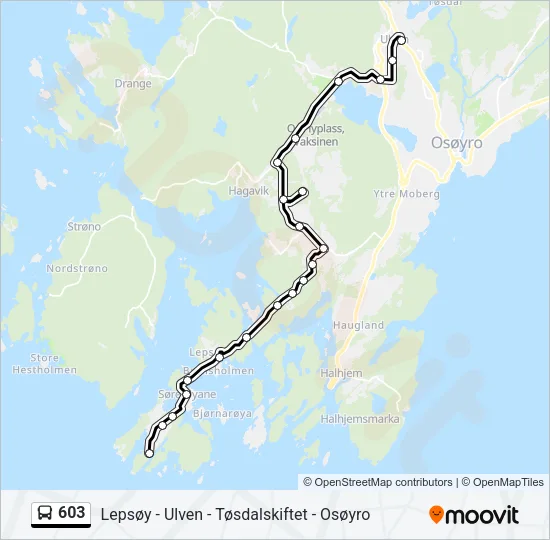603 Bus Line Map