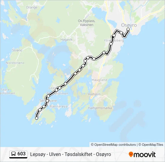 603 Bus Line Map