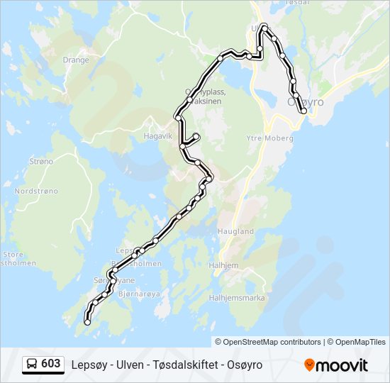 603 Bus Line Map