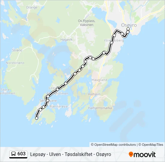 603 Bus Line Map